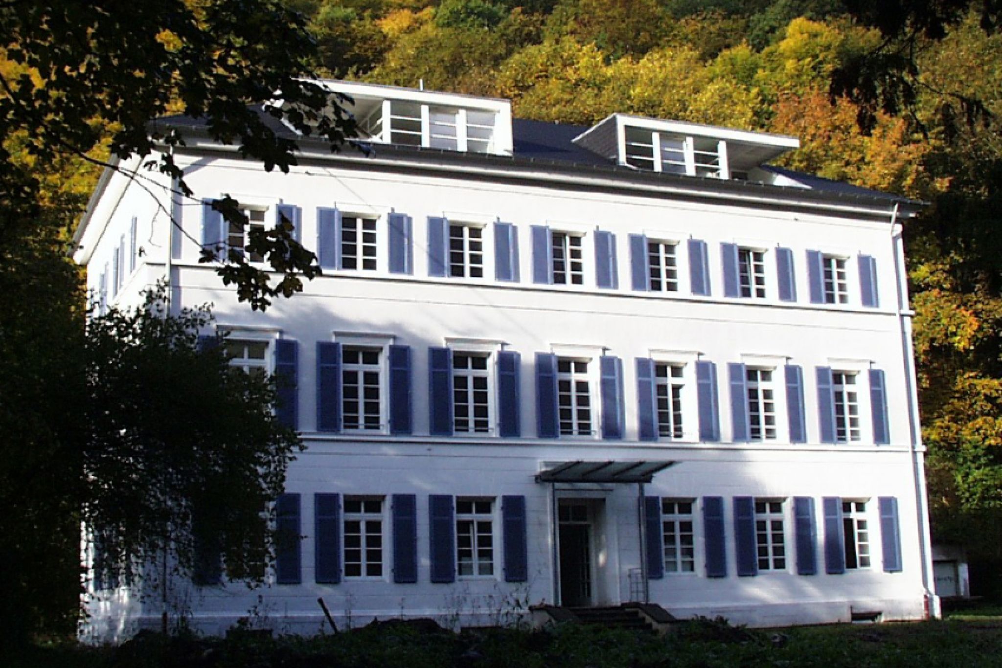 Mehrfamilienvilla in Alf an der Mosel