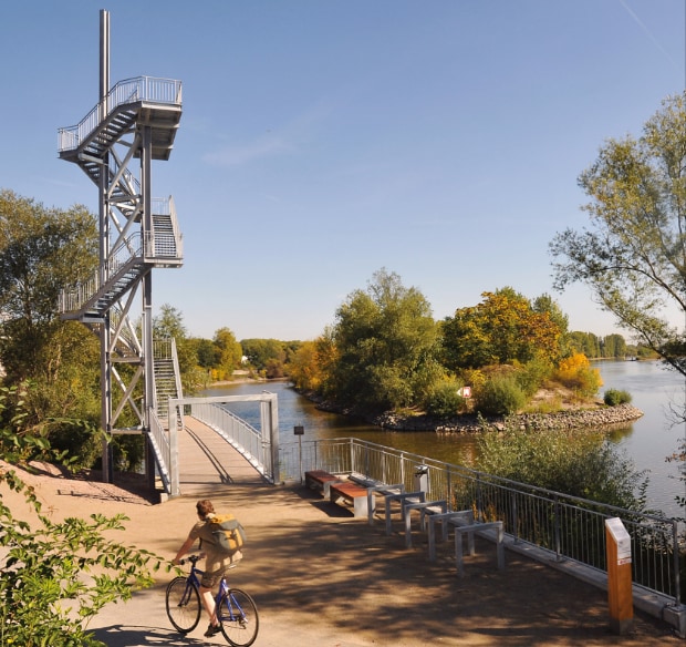 aussichtsturm-mainufer_05.jpg